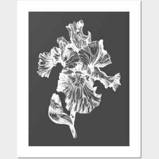 Ink - Iris Variation 2 Posters and Art